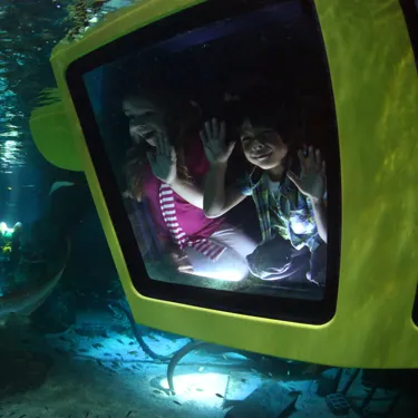 Children in submarine looking out at fish in LEGO City Deep Sea Adventure