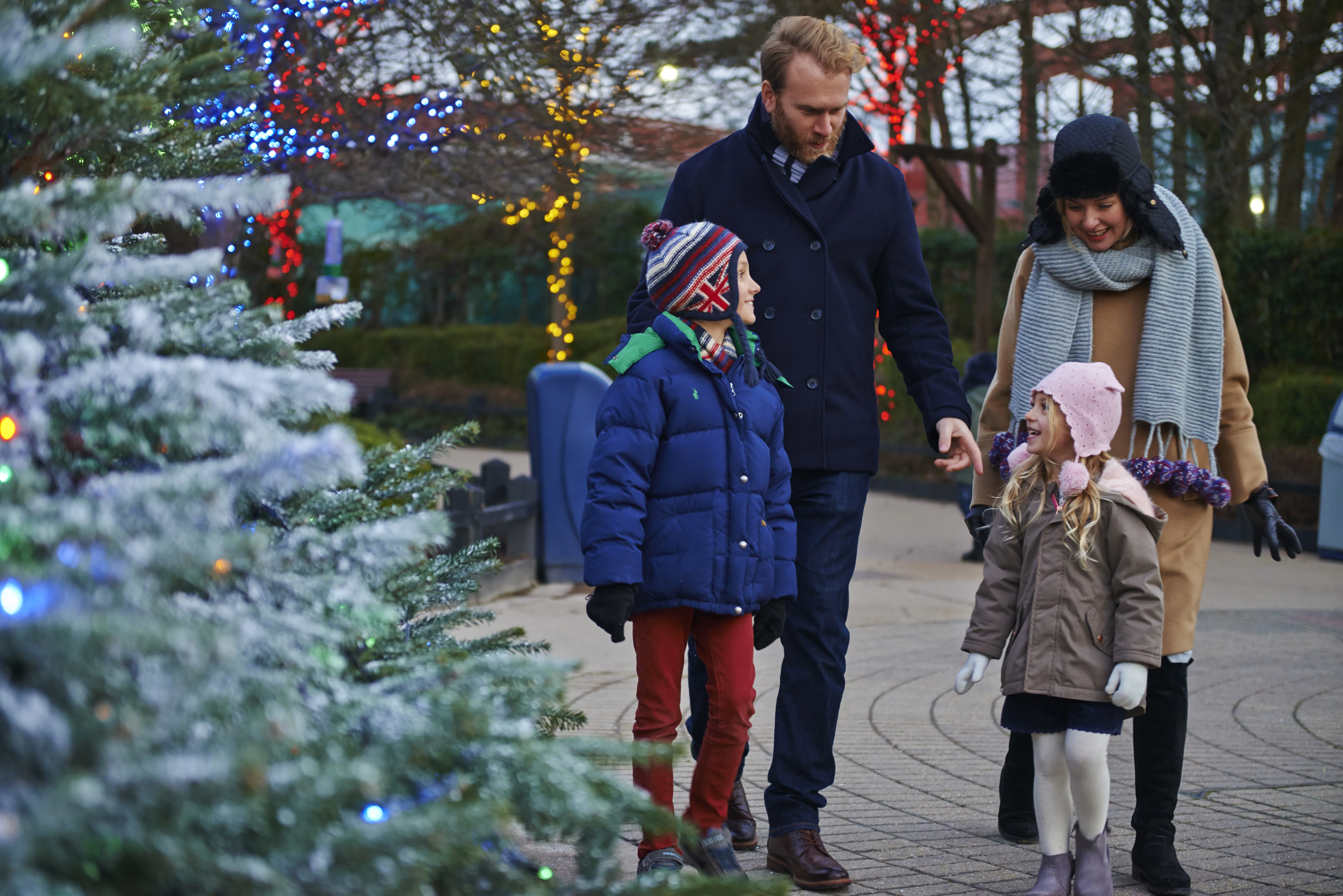 Family enjoying the magic of LEGOLAND at Christmas with Christmas trees