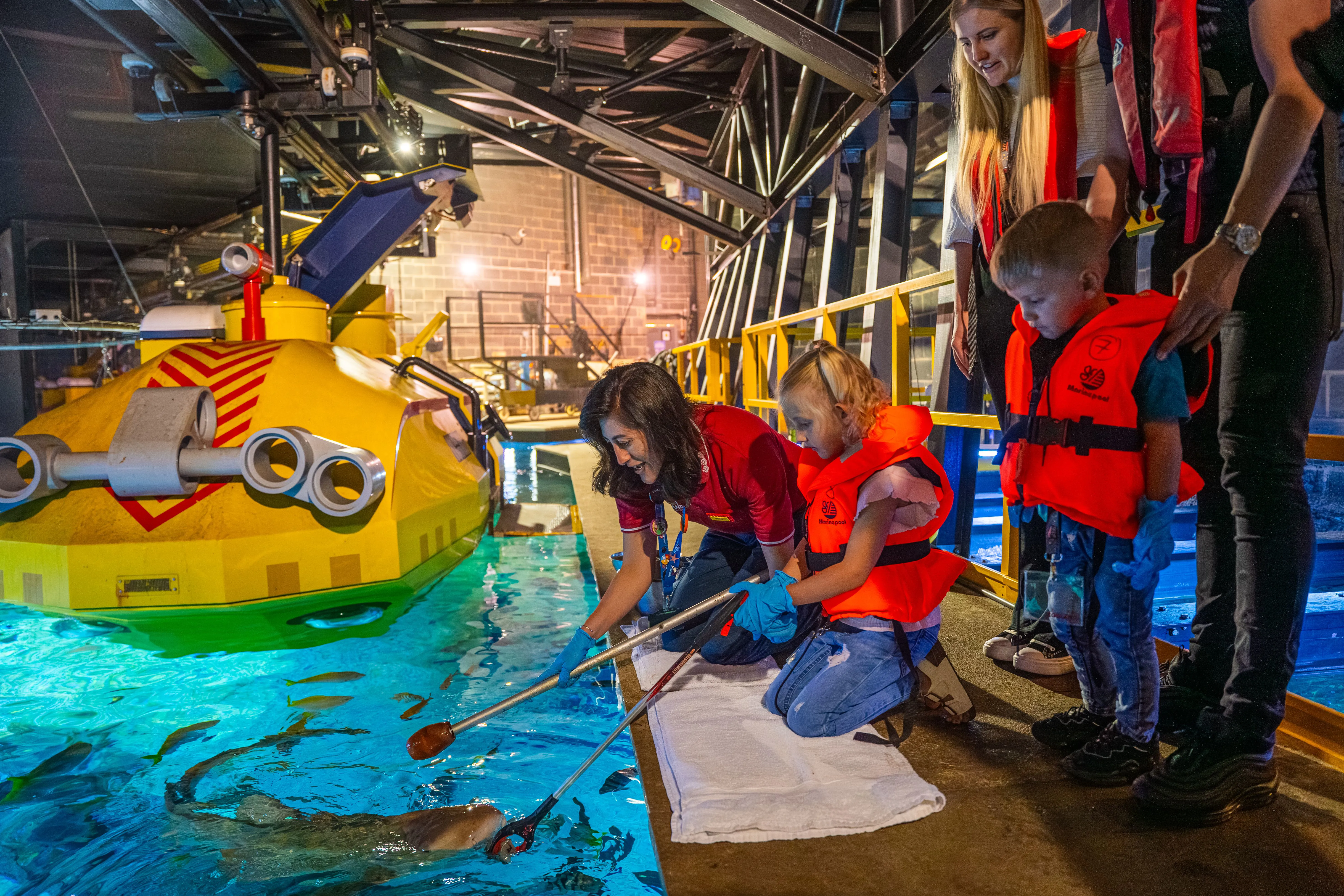 Shark Feed At LEGOLAND Windsor