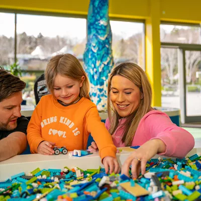 Family building with LEGO bricks in The Brick