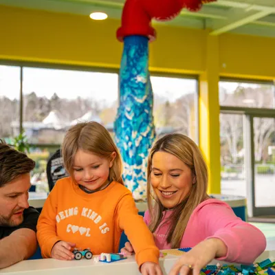 Family building with LEGO bricks in The Brick