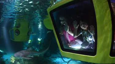 Children in submarine looking out at fish in LEGO City Deep Sea Adventure