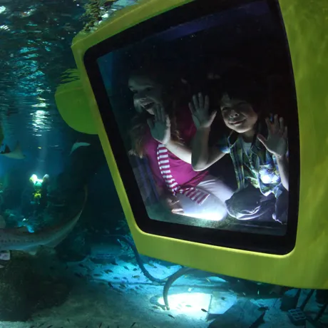 Children in submarine looking out at fish in LEGO City Deep Sea Adventure