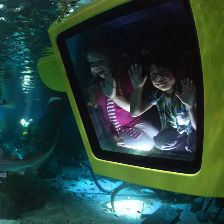 Children in submarine looking out at fish in LEGO City Deep Sea Adventure