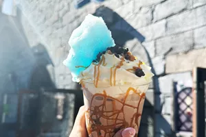 Milkshake at Wizard's Frozen Wonders