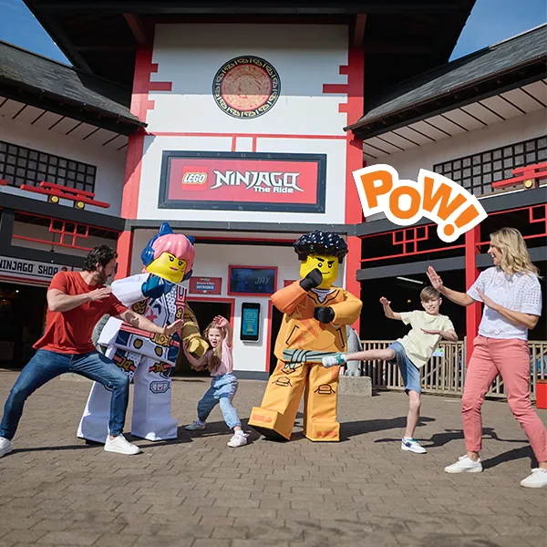 NINJAGO M&G Web Image