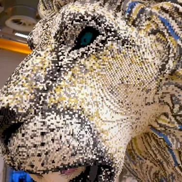 Maximus Model