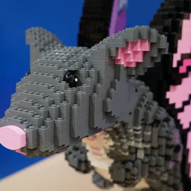 Mouse Butterfly
