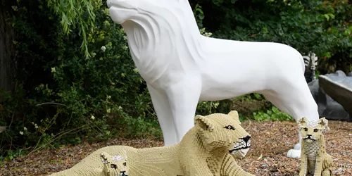 LEGOLAND Joins The Lions Of Windsor 2019 Pride - LEGO lions