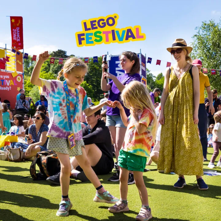 LEGO 2