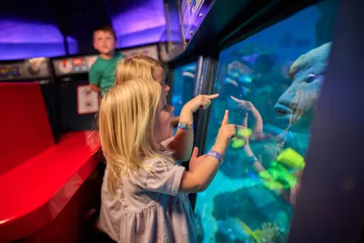 Children Looking At Fish On LEGO City Deep Sea Adventure At The LEGOLAND Windsor Resort