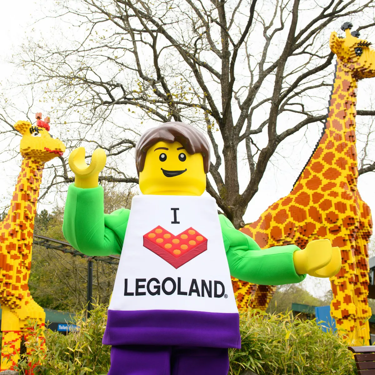 LEGOLAND Boy