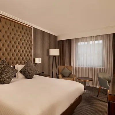 DT Woking Standard Room (Double Room)