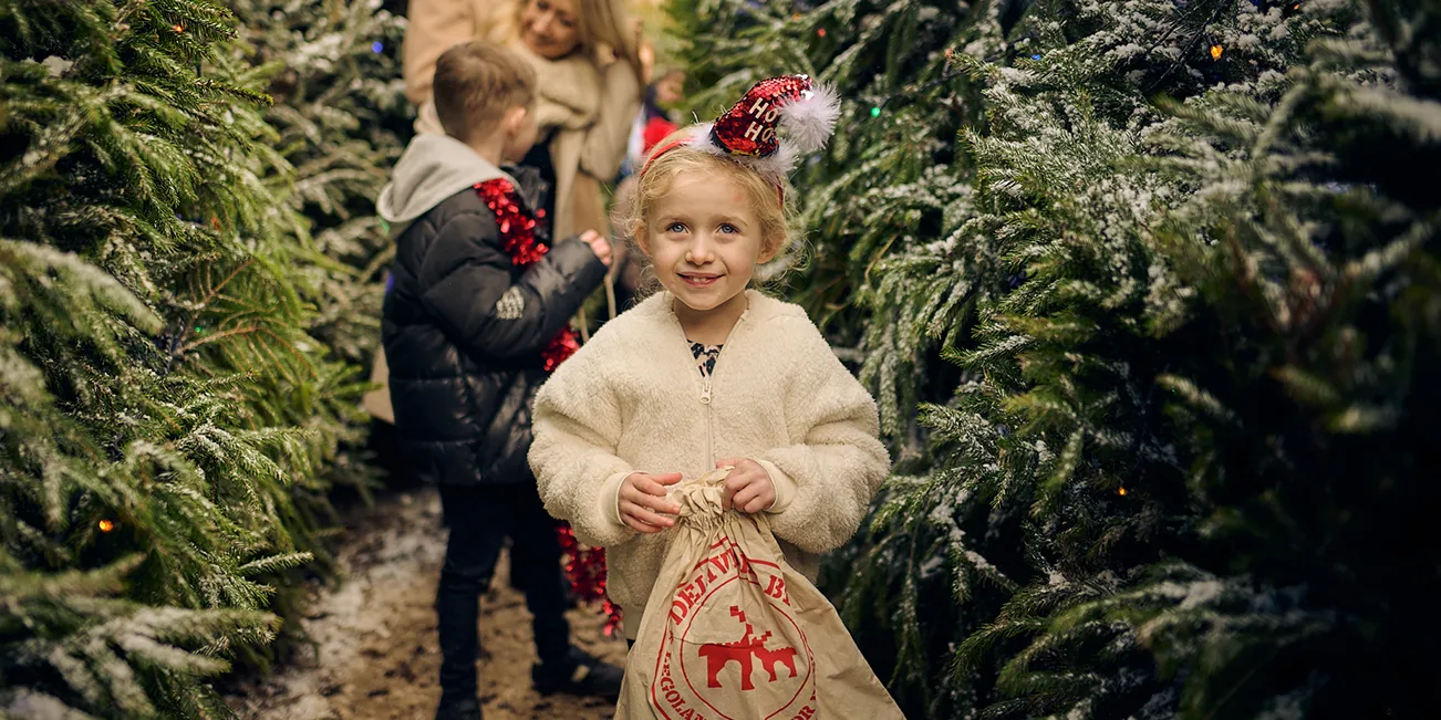 Girl In Trees LEGOLAND At Christmas Crop