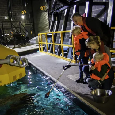 Shark Feeding at the LEGOLAND Windsor Resort