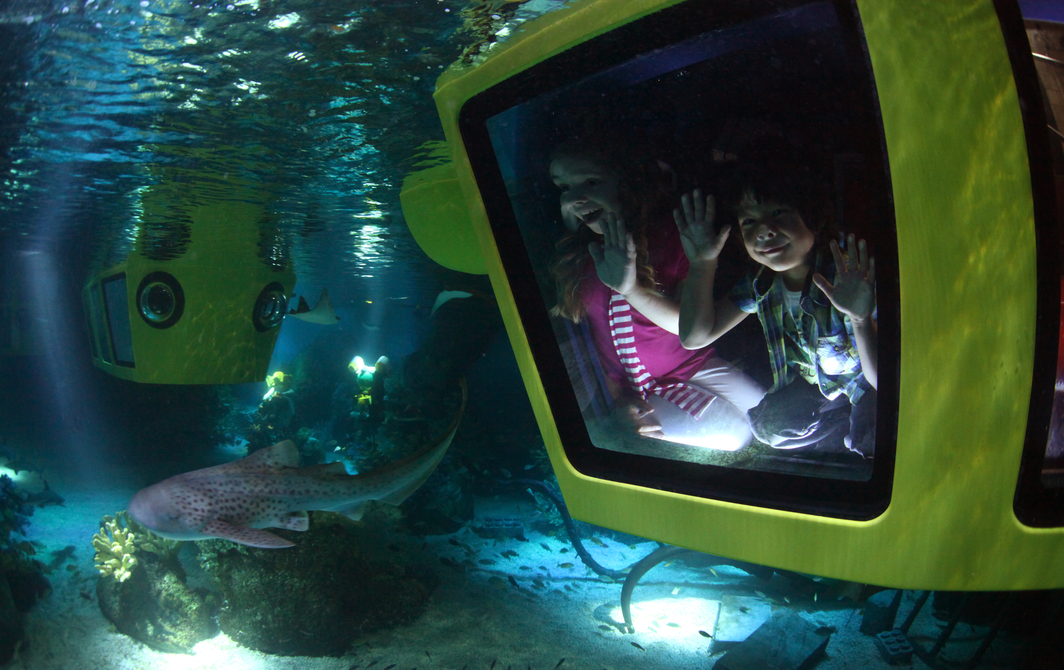 Children in submarine looking out at fish in LEGO City Deep Sea Adventure